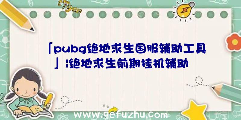 「pubg绝地求生国服辅助工具」|绝地求生前期挂机辅助